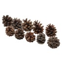 Pigne Decorative Vere Dimensione da 3 a circa 5 cm Confezione 20 pezzi - PG/0001