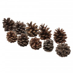 Pigne Naturali in Busta da 600 gr. - 11723
