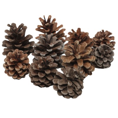 Pigne Naturali in Busta da 600 gr. - 11723