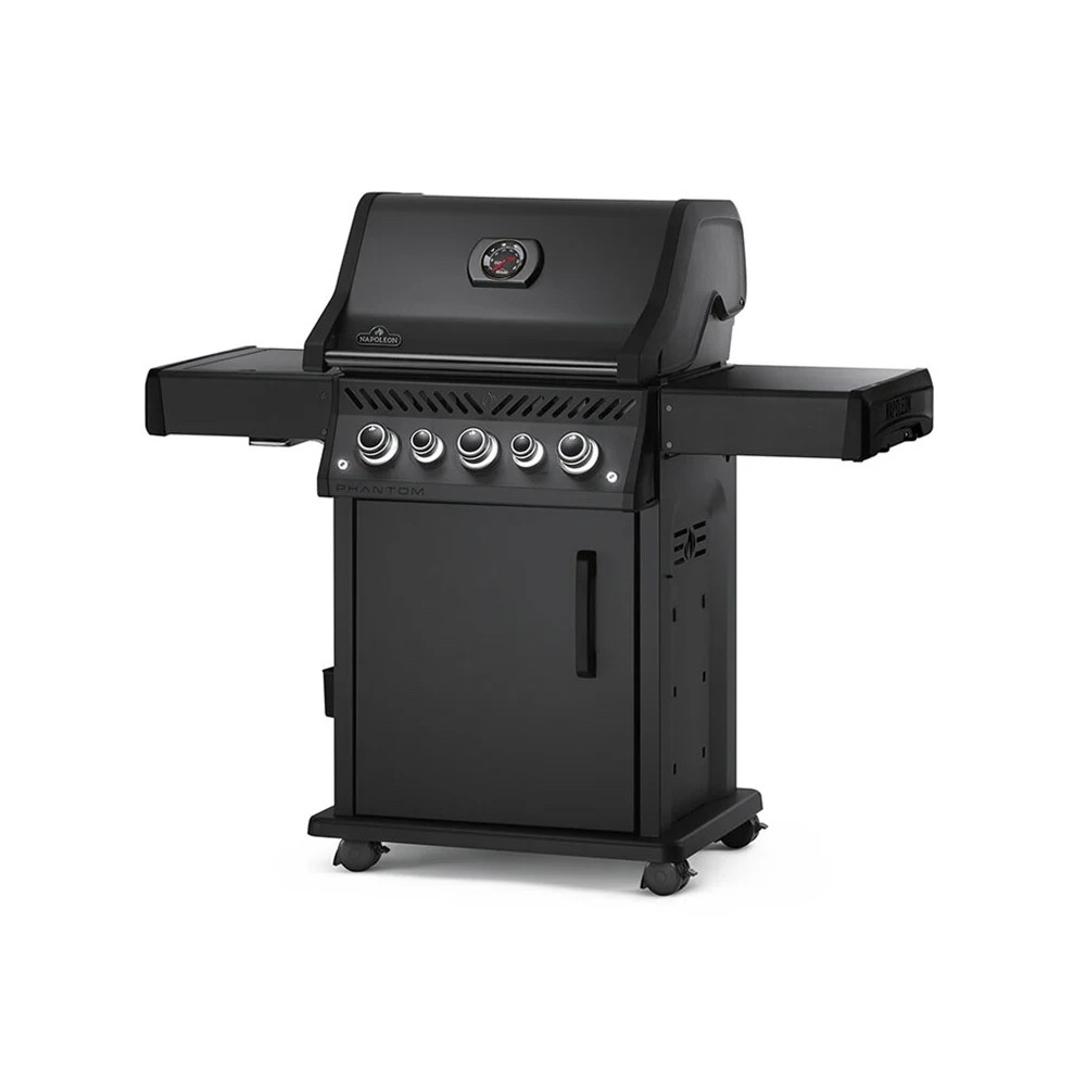 Nettoyeur barbecue RE98-GISBORNE