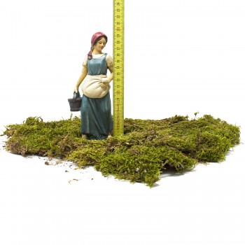 Muschio per Presepe Tappetino a pezzi 200 grammi