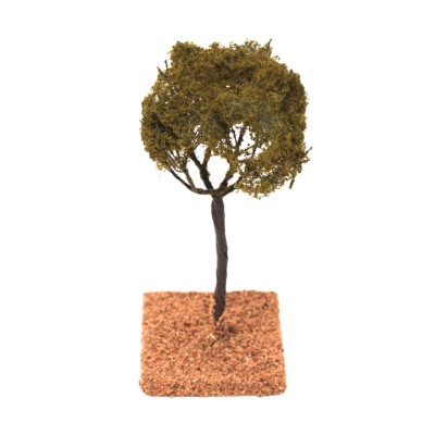 Albero Pino Marittimo 12 cm - 57512