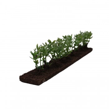 Siepe Verde per Presepe 18x2.5x4 cm 57982