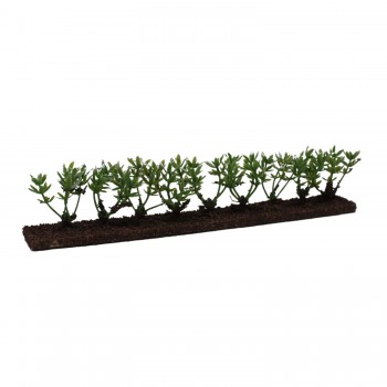Siepe Verde per Presepe 18x2.5x4 cm 57982