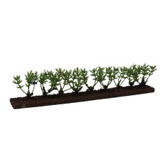 Siepe Verde per Presepe 18x2.5x4 cm 57982