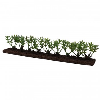 Siepe Verde per Presepe 18x2.5x4 cm 57982