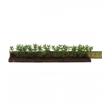 Siepe Verde per Presepe 18x2.5x4 cm 57982