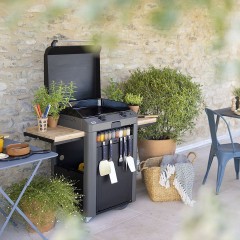 Plancha a Gas Eno Piastra Enosign Fusion 60 Grigio