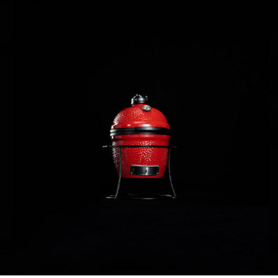 Kamado Joe Junior Barbecue a Carbone