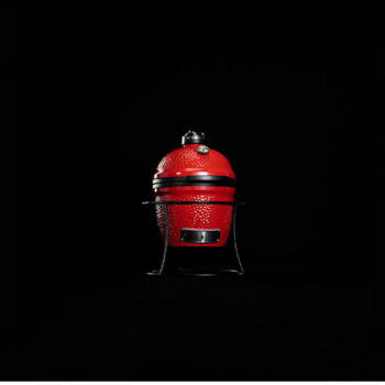 Kamado Joe Junior Barbecue a Carbone