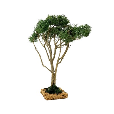 Albero per Presepe 20 cm Miniature Alberi per Presepe