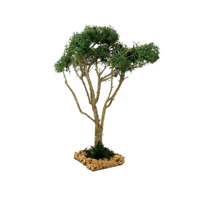 Albero per Presepe 20 cm Miniature Alberi per Presepe