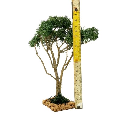 Albero per Presepe 20 cm Miniature Alberi per Presepe