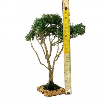 Albero per Presepe 20 cm Miniature Alberi per Presepe