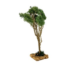 Albero per Presepe 20 cm Miniature Alberi per Presepe