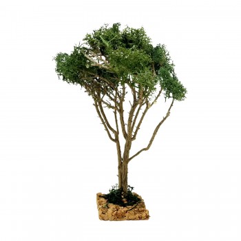 Albero per Presepe 20 cm Miniature Alberi per Presepe