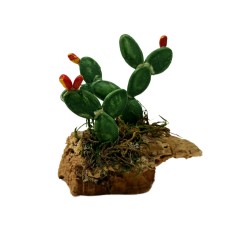 Fichi d'India con Base in Sughero Miniature per Presepe 79270