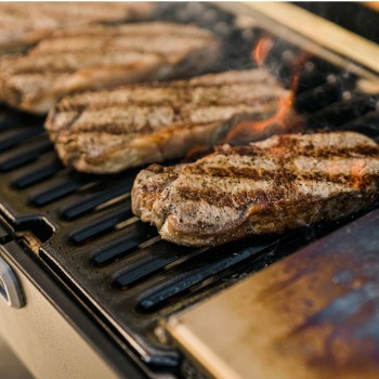Barbecue e Affumicatore a Carbone Portatile