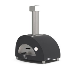Forno Pizza a Gas Moderno 1 Pizza