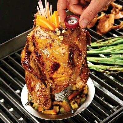 Supporto per Pollo Pluma Acciaio Inox Broil King