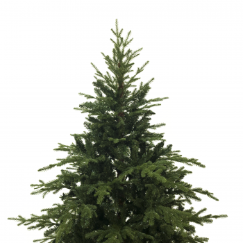 Albero di Natale Realistico in PE e PVC 180 cm Rudolph