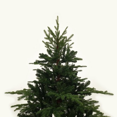 Albero di Natale Realistico Abete 240 cm Rudolph