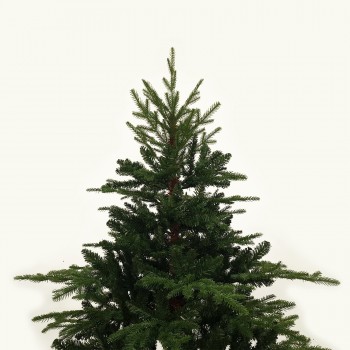 Albero di Natale Realistico Abete 240 cm Rudolph