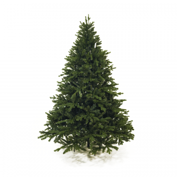 Albero di Natale Folto Comet 210 cm Abete Ecologico