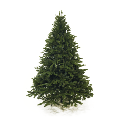 Albero di Natale Folto Comet 210 cm Abete Ecologico