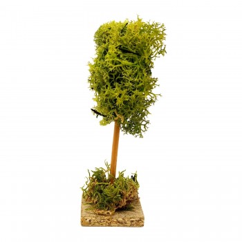 Albero Lichene in Miniatura 18 cm 50117