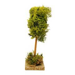 Albero Lichene in Miniatura 18 cm 50117