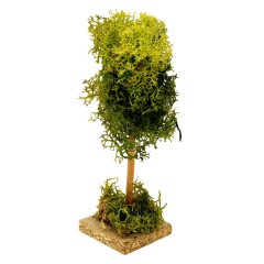 Albero Lichene in Miniatura 18 cm 50117