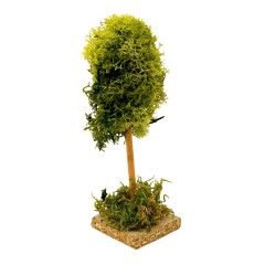 Albero Lichene in Miniatura 18 cm 50117