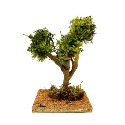 Albero Lichene Ramificato in Miniatura 18 cm 50115