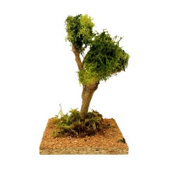 Albero Lichene Ramificato in Miniatura 18 cm 50115