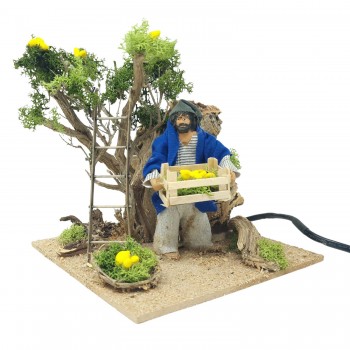 Pastore per Presepe in Movimento Raccoglitore di Limoni Statuina 12 cm