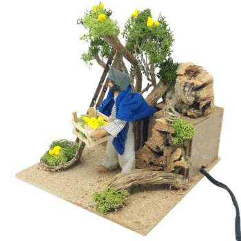 Pastore per Presepe in Movimento Raccoglitore di Limoni Statuina 12 cm