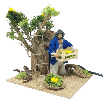 Pastore per Presepe in Movimento Raccoglitore di Limoni Statuina 12 cm