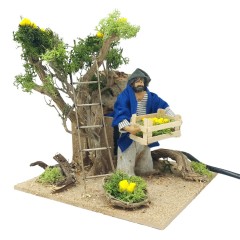 Pastore per Presepe in Movimento Raccoglitore di Limoni Statuina 12 cm