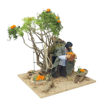 Pastore per Presepe in Movimento Raccoglitore di Arance 12 cm
