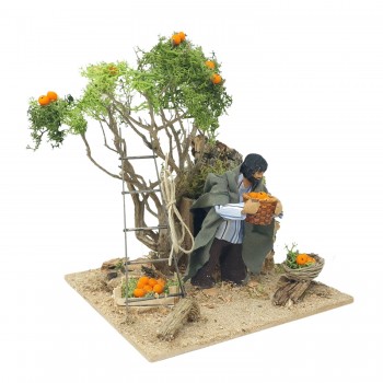 Pastore per Presepe in Movimento Raccoglitore di Arance 12 cm