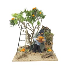 Pastore per Presepe in Movimento Raccoglitore di Arance 12 cm