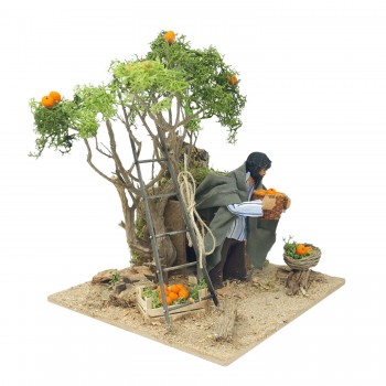 Pastore per Presepe in Movimento Raccoglitore di Arance 12 cm