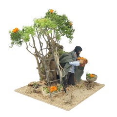 Pastore per Presepe in Movimento Raccoglitore di Arance 12 cm