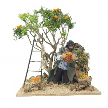 Pastore per Presepe in Movimento Raccoglitore di Arance 12 cm