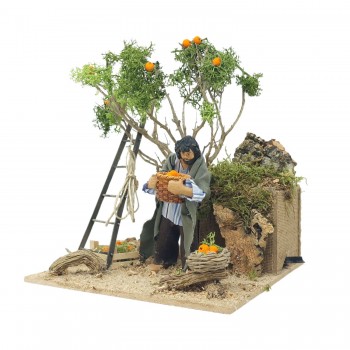 Pastore per Presepe in Movimento Raccoglitore di Arance 12 cm