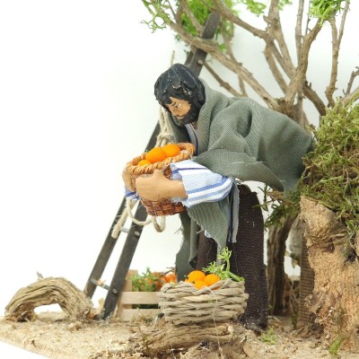 Pastore per Presepe in Movimento Raccoglitore di Arance 12 cm