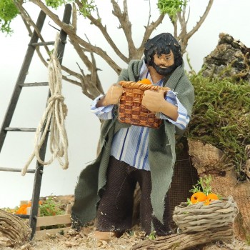 Pastore per Presepe in Movimento Raccoglitore di Arance 12 cm
