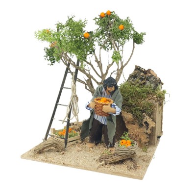 Pastore per Presepe in Movimento Raccoglitore di Arance 12 cm