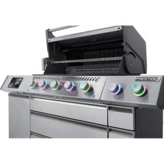 Barbecue a Gas Digitale Prestige Pro665